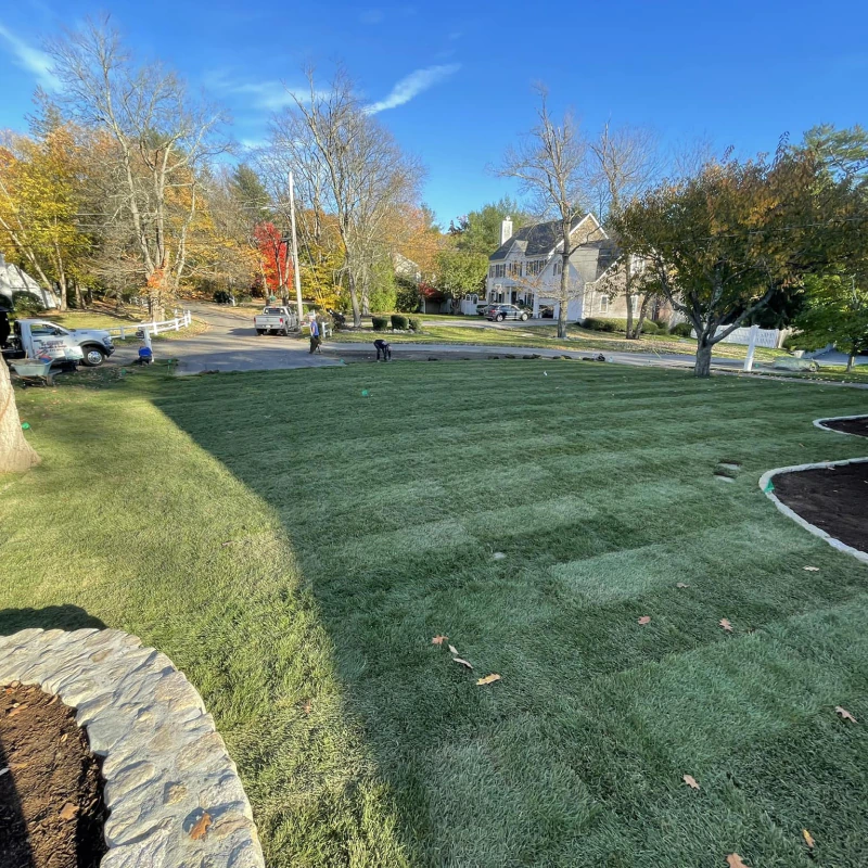 landscape design