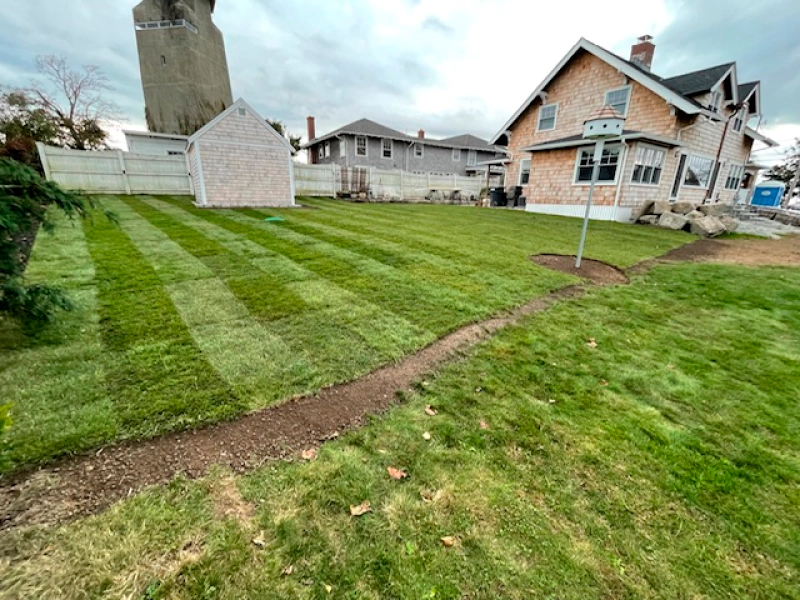 image10